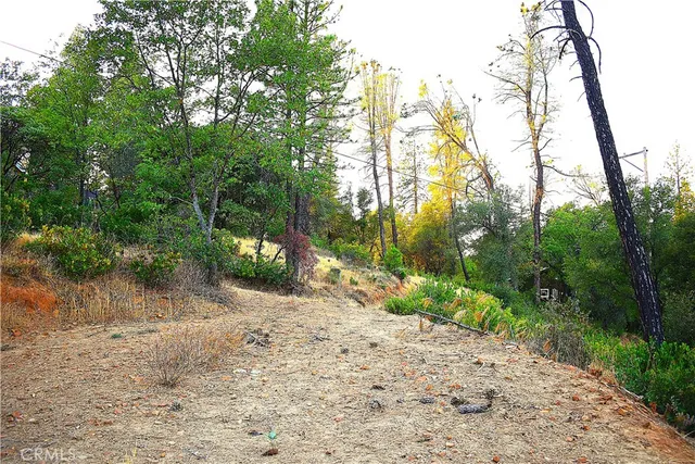 a view of a garden with trees