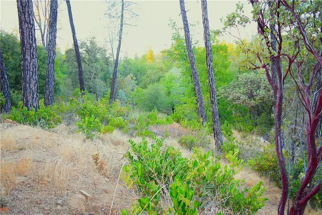 a view of yard with green space