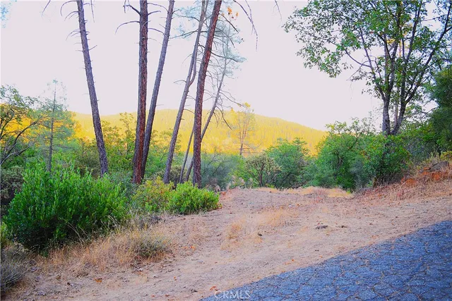 a view of backyard with green space