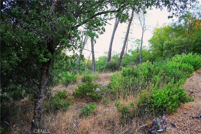a view of an outdoor space with a lake view