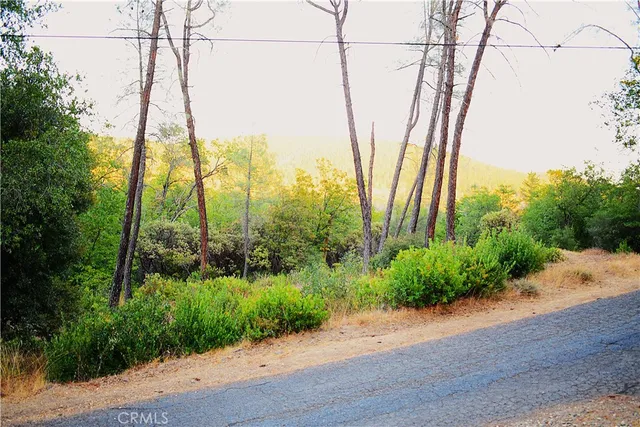 a view of an ocean with a palm tree
