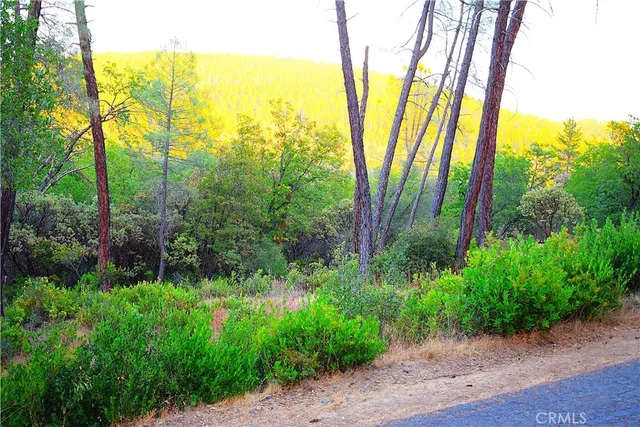 a view of a backyard of the house