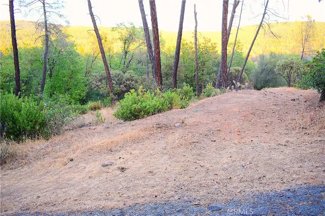 a view of a road with a yard