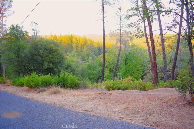 $32,555 | 13867 Shirley Drive, Dobbins, CA 95935