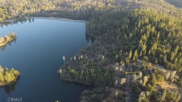 a close up of a plant in a garden