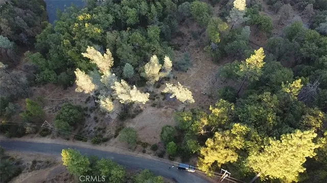 a view of a yard with plants and trees