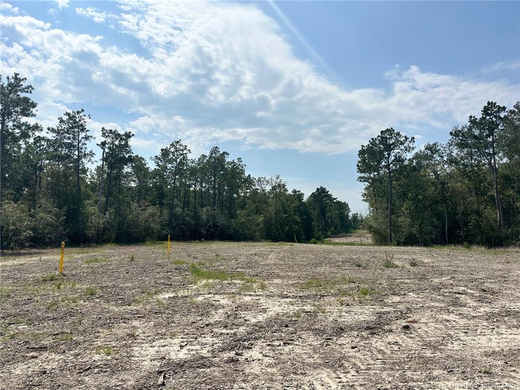 0 Hecker Road Iowa, LA 70647 - Photo 2 of 3