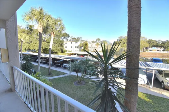 a view interior of the house with wooden floor and windows