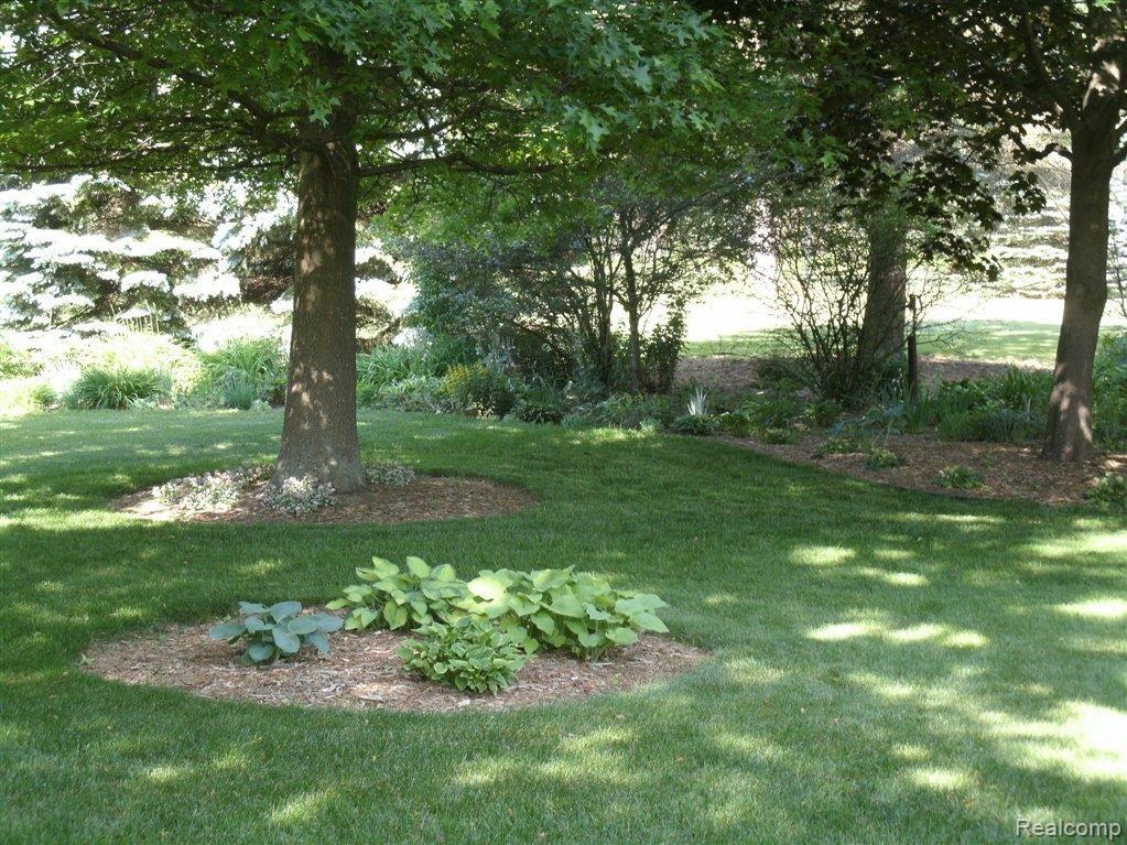 2670 Walbridge Drive Rochester, MI 48307 - Photo 17 of 21 Back yard.JPG