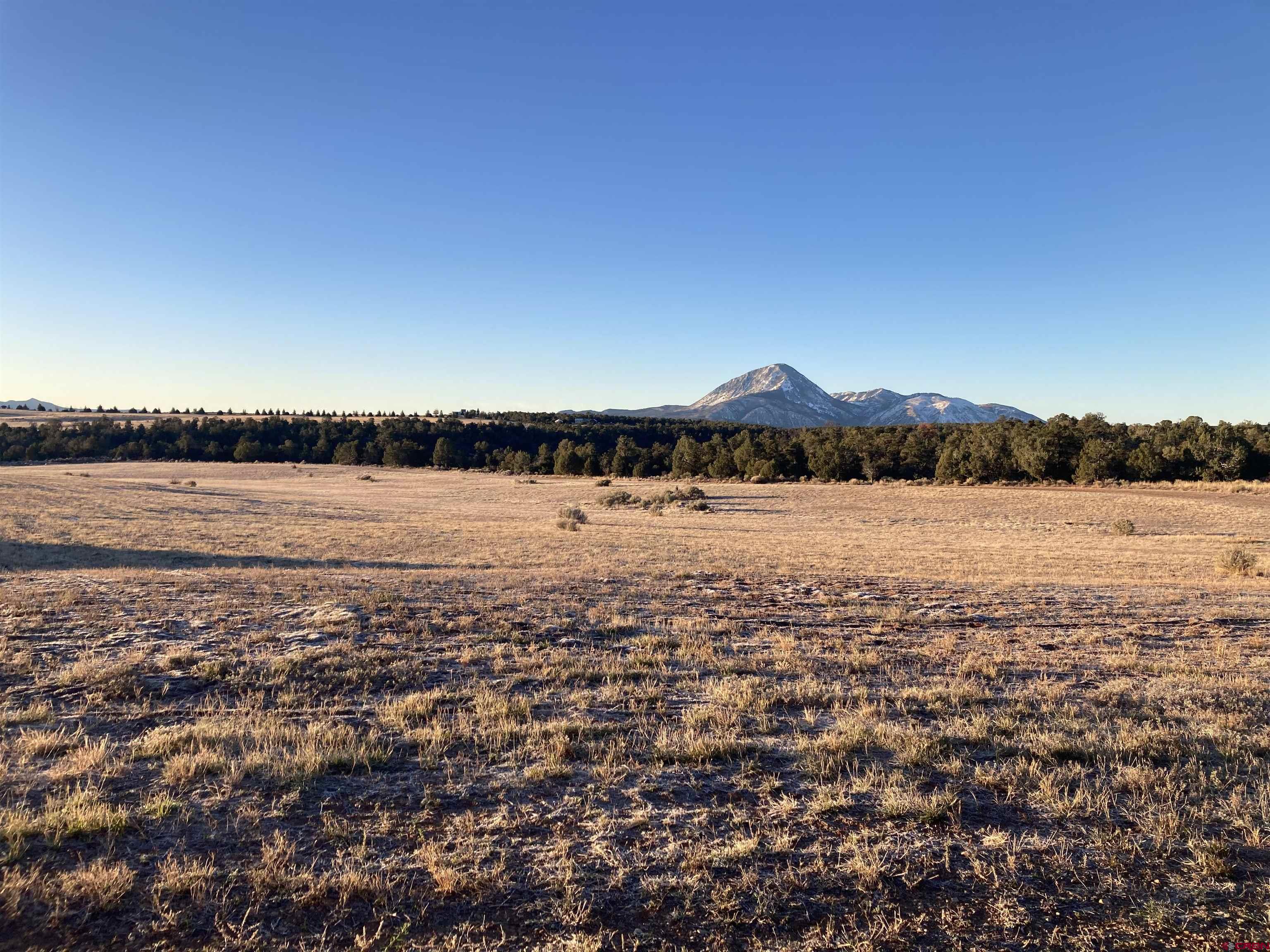 18 Road 18 Cortez, CO 81321 - Photo 3 of 17