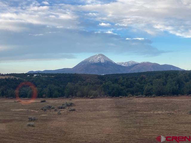 18 Road 18 Cortez, CO 81321 - Photo 7 of 16 a view of a dry yard with mountain