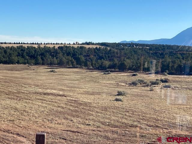 18 Road 18 Cortez, CO 81321 - Photo 9 of 17