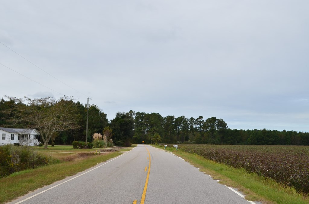 0 Gibson Road Greeleyville, SC 29056 - Photo 7 of 8