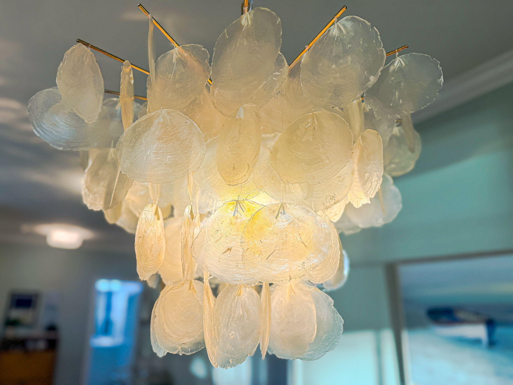 1082 Bridgeview Lane, Unit A101 Summerton, SC 29148 - Photo 57 of 146 56-web-or-mls-CM-56