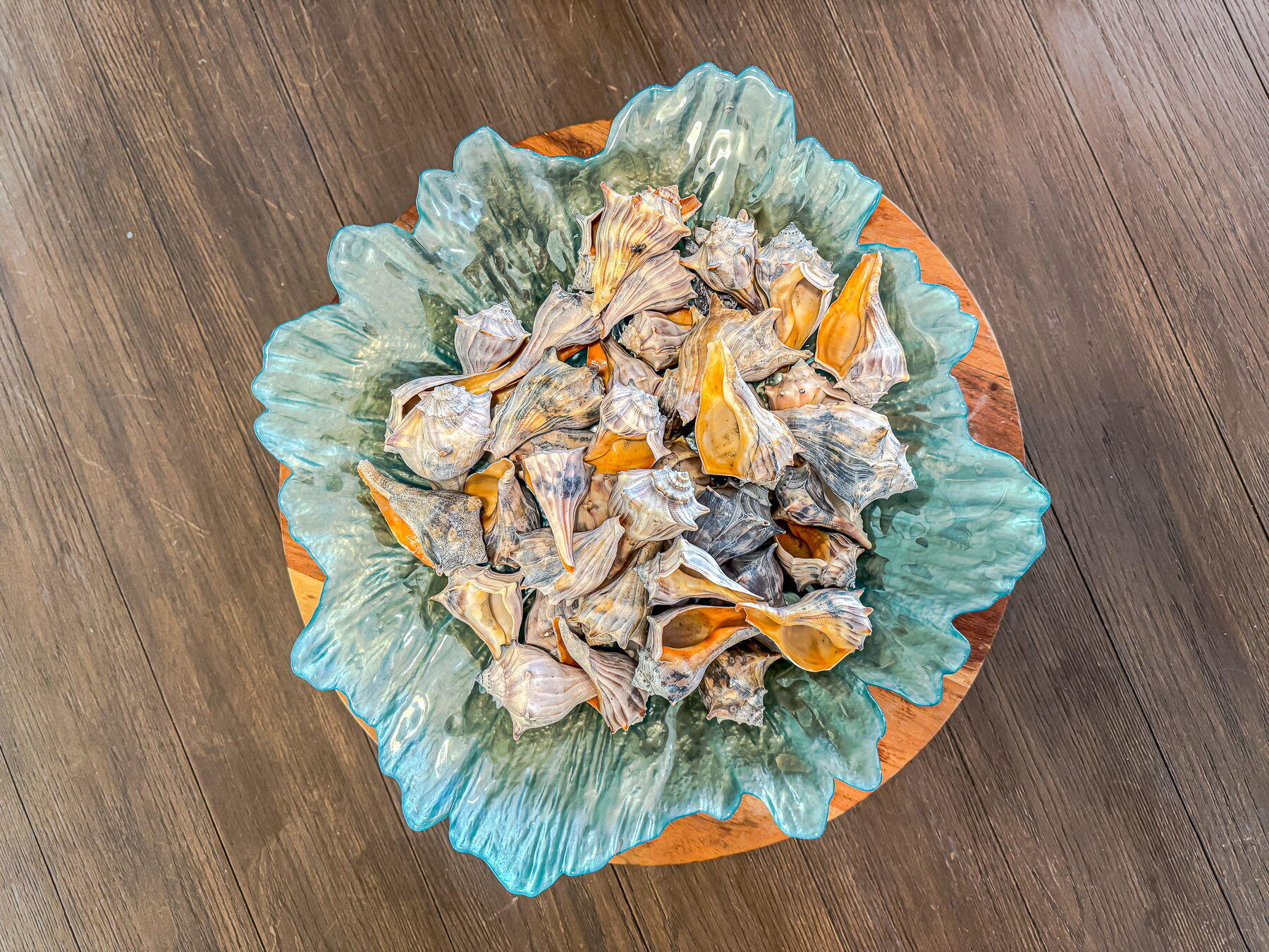 1082 Bridgeview Lane, Unit A101 Summerton, SC 29148 - Photo 58 of 146 57-web-or-mls-CM-57