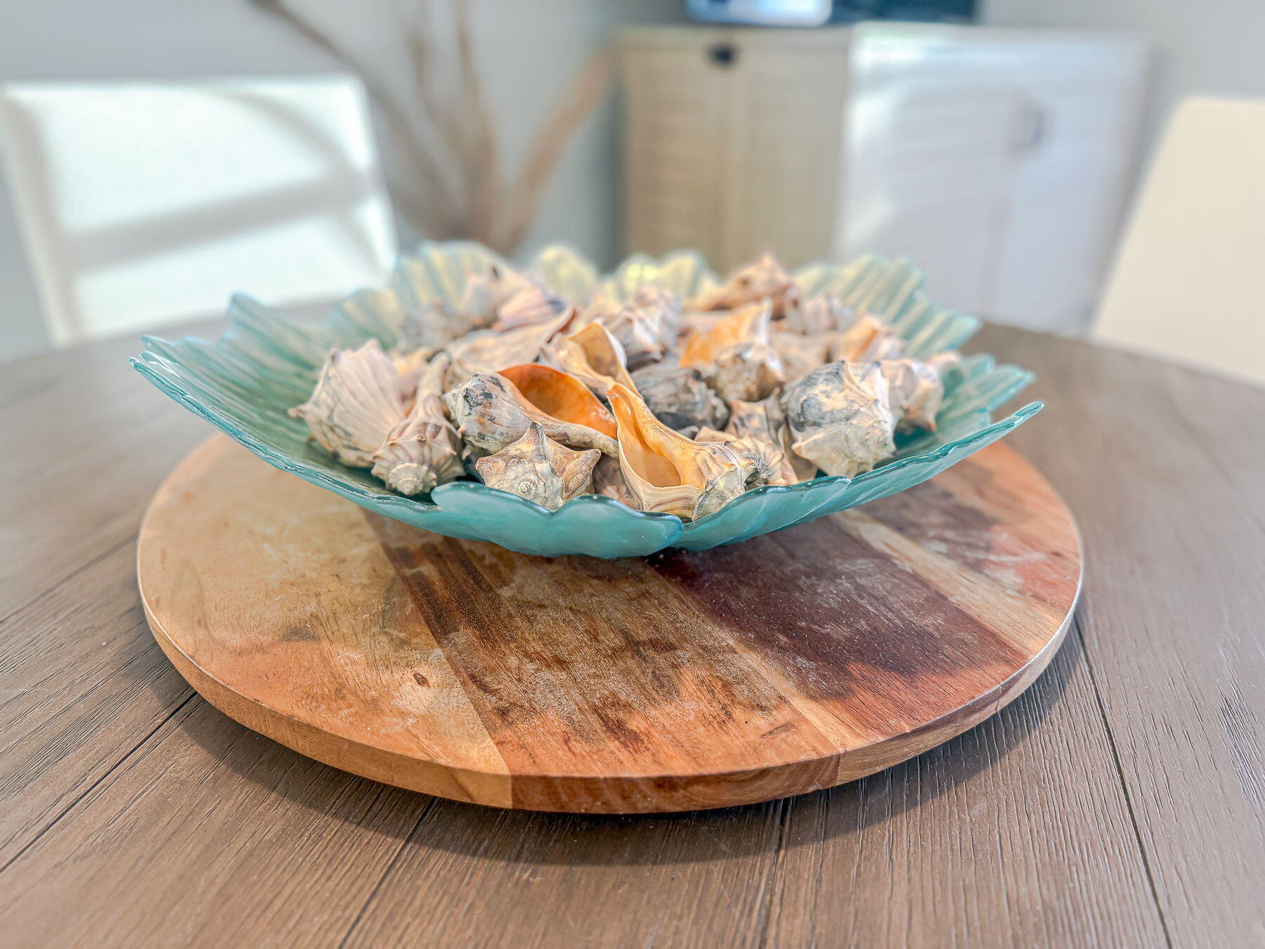 1082 Bridgeview Lane, Unit A101 Summerton, SC 29148 - Photo 59 of 146 58-web-or-mls-CM-58