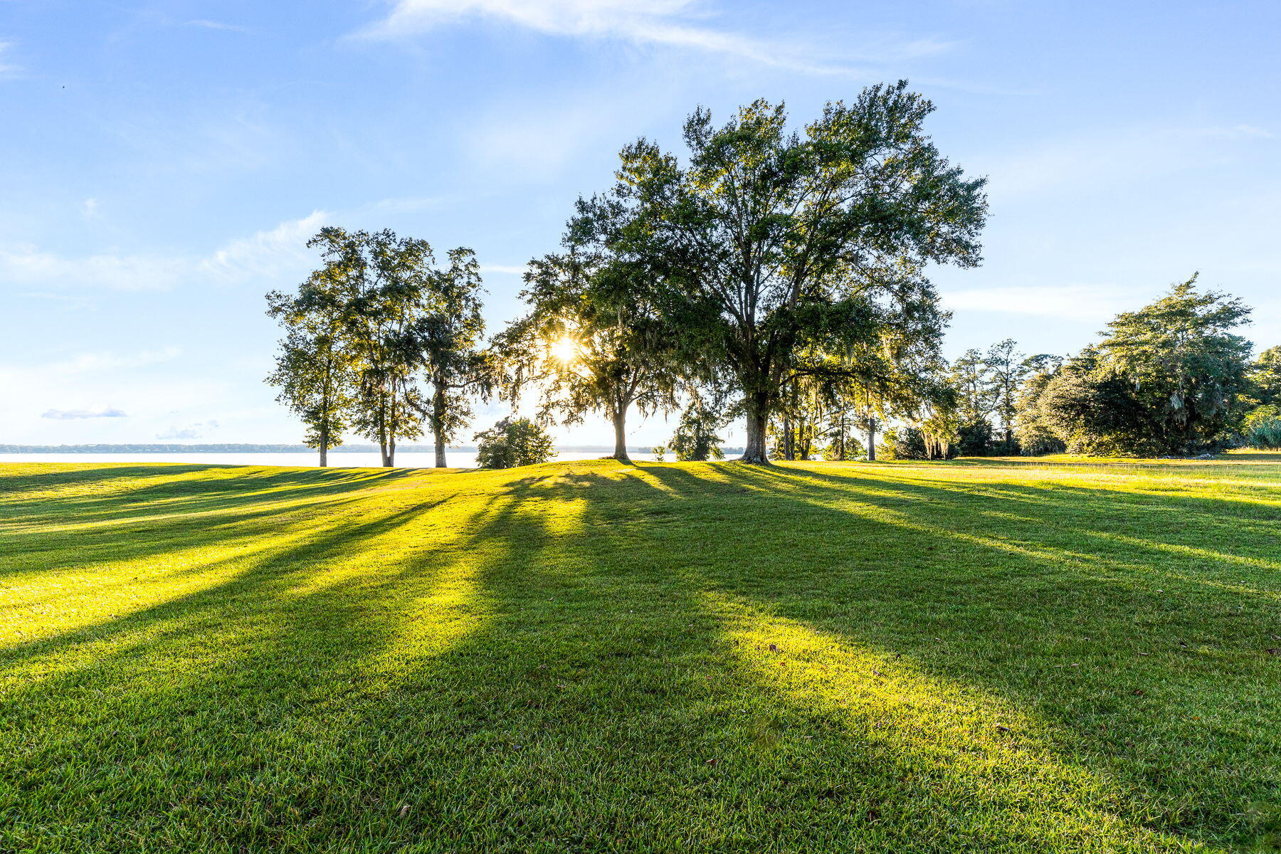 1082 Bridgeview Lane, Unit A101 Summerton, SC 29148 - Photo 81 of 146 80-web-or-mls-CM-80