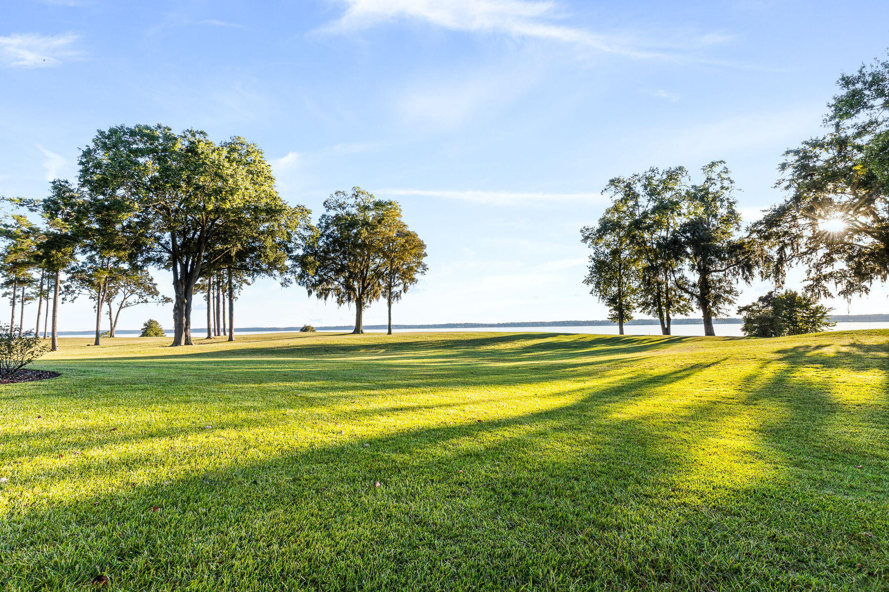 1082 Bridgeview Lane, Unit A101 Summerton, SC 29148 - Photo 83 of 146 82-web-or-mls-CM-82