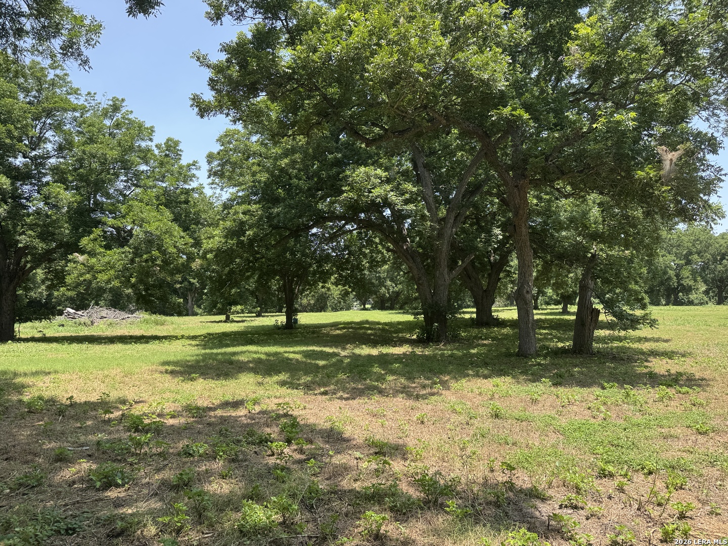 0 B & B Road Seguin, TX 78155 - Photo 19 of 38