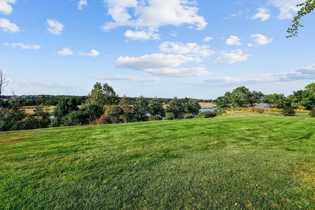 106 Forbes Road Milton, MA 02186 - Photo 11 of 27 a view of a big yard with plants and a large tree