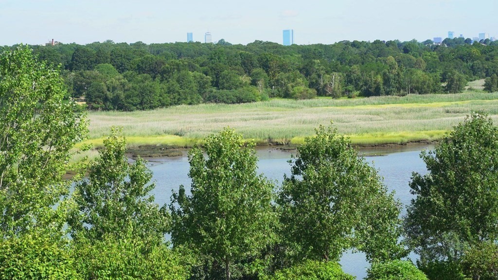 106 Forbes Road Milton, MA 02186 - Photo 13 of 27 a view of a lake with a big yard
