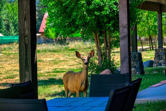 a living room with furniture and painting on the wall