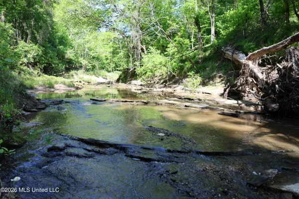 $1,300,000 | 1060 Pearline Bailey Rd Port, Port Gibson, MS 39150