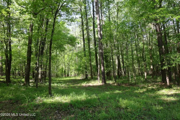 $1,300,000 | 1060 Pearline Bailey Rd Port, Port Gibson, MS 39150