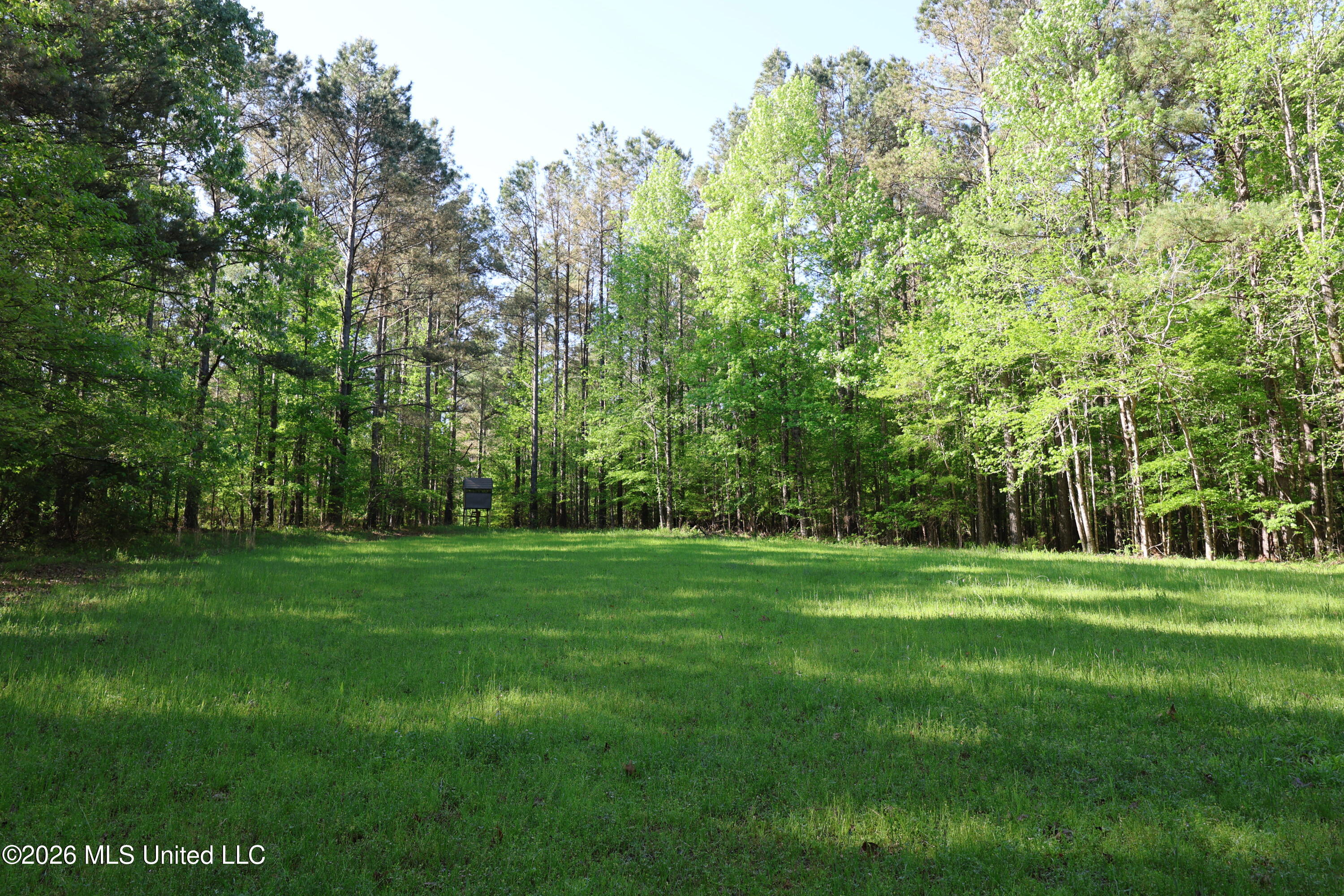 1060 Pearline Bailey Rd Port Port Gibson, MS 39150 - Photo 12 of 64 3B757ED2-9766-4751-979F-033676BFCA6A