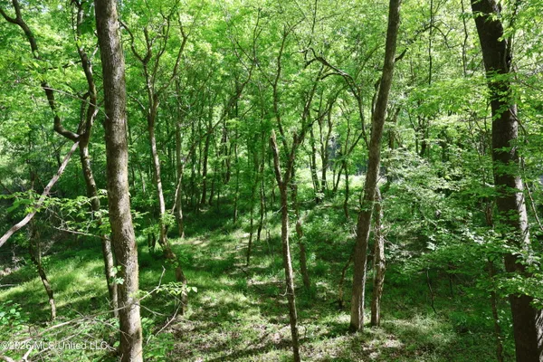 $1,300,000 | 1060 Pearline Bailey Rd Port, Port Gibson, MS 39150