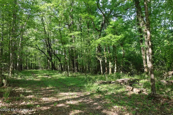 $1,300,000 | 1060 Pearline Bailey Rd Port, Port Gibson, MS 39150