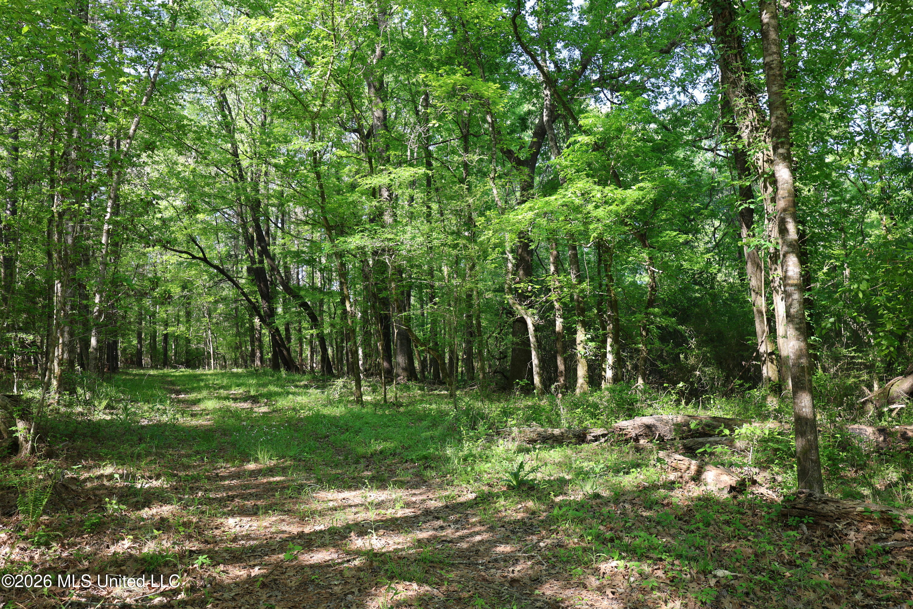 1060 Pearline Bailey Rd Port Port Gibson, MS 39150 - Photo 15 of 64 5F0A723F-ED41-4682-BD02-9B5B69CF751F