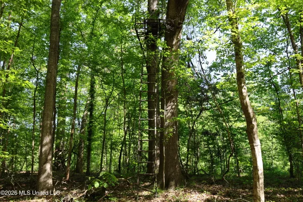 $1,300,000 | 1060 Pearline Bailey Rd Port, Port Gibson, MS 39150