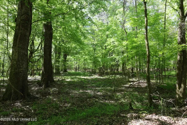 $1,300,000 | 1060 Pearline Bailey Rd Port, Port Gibson, MS 39150
