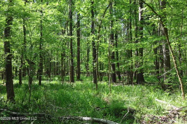 $1,300,000 | 1060 Pearline Bailey Rd Port, Port Gibson, MS 39150