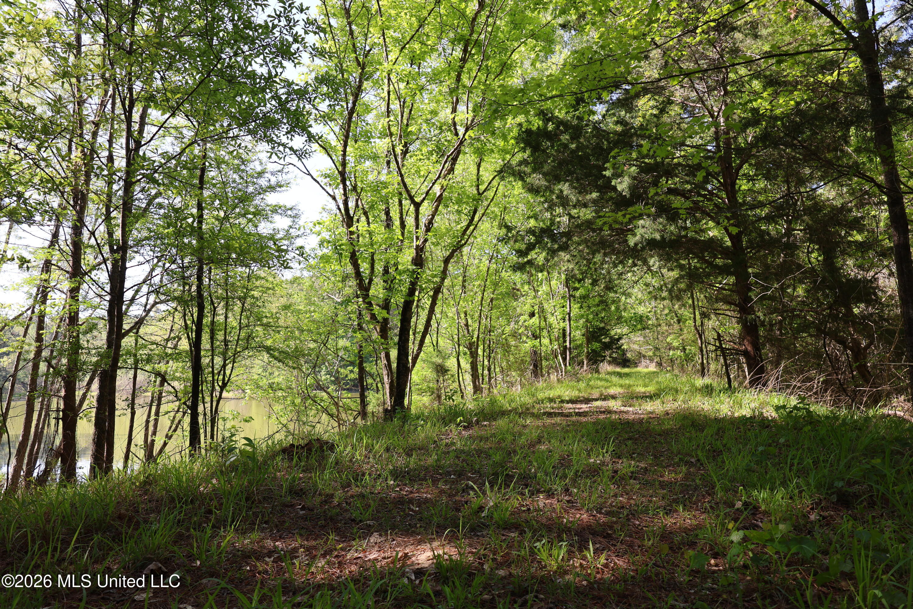 1060 Pearline Bailey Rd Port Port Gibson, MS 39150 - Photo 20 of 64 6C62C325-CBA7-4C2E-835C-1BE9F9181D0C