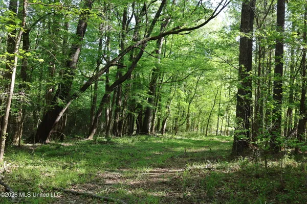 $1,300,000 | 1060 Pearline Bailey Rd Port, Port Gibson, MS 39150