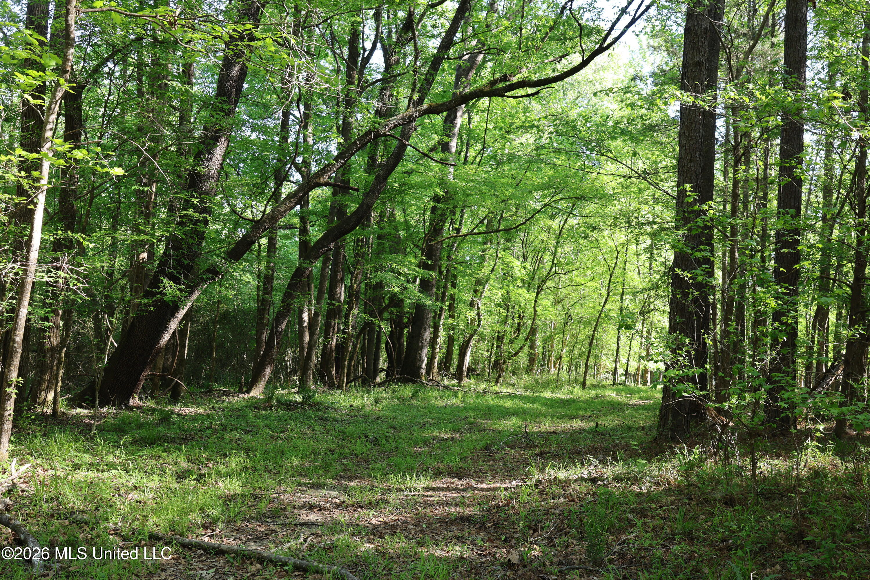1060 Pearline Bailey Rd Port Port Gibson, MS 39150 - Photo 2 of 64 B29FD555-1DD2-41C5-A9DC-B87AB049649E