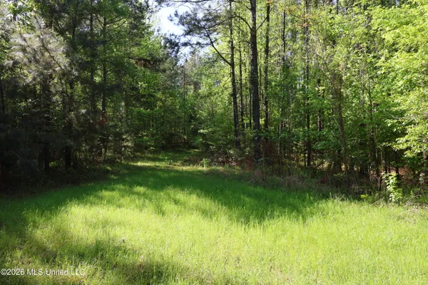 $1,300,000 | 1060 Pearline Bailey Rd Port, Port Gibson, MS 39150