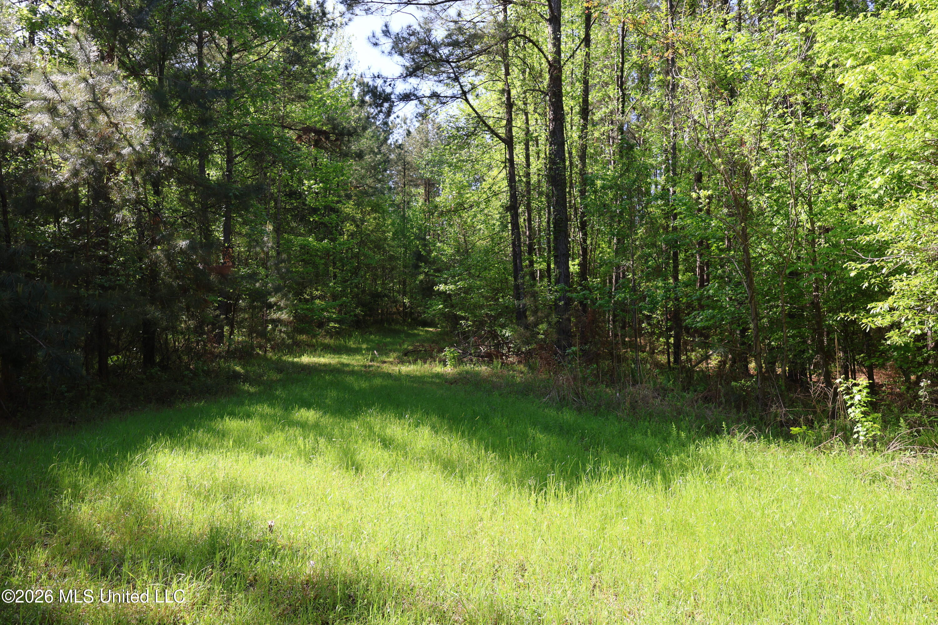1060 Pearline Bailey Rd Port Port Gibson, MS 39150 - Photo 21 of 64 7B673443-0410-4750-B7D7-ABAF1B43B847