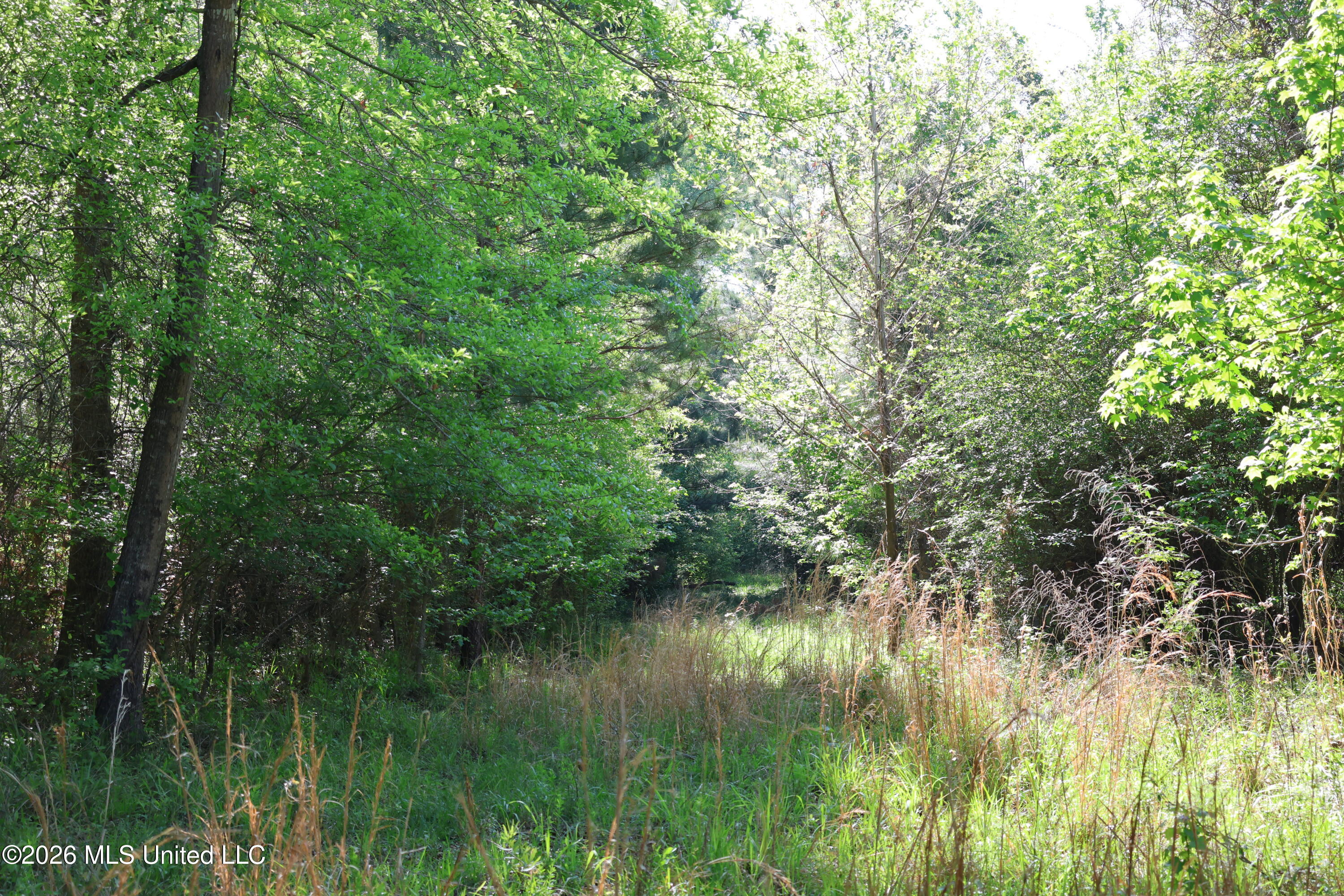 1060 Pearline Bailey Rd Port Port Gibson, MS 39150 - Photo 22 of 64 7DF0951E-6634-4403-B3A1-695C8E416EFC