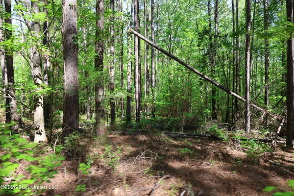 $1,300,000 | 1060 Pearline Bailey Rd Port, Port Gibson, MS 39150