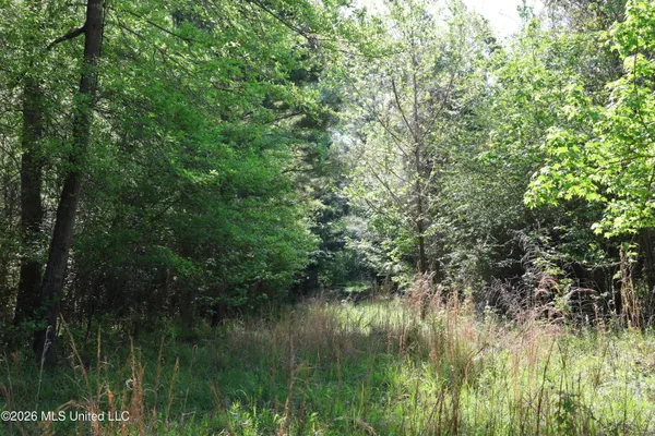 $1,300,000 | 1060 Pearline Bailey Rd Port, Port Gibson, MS 39150