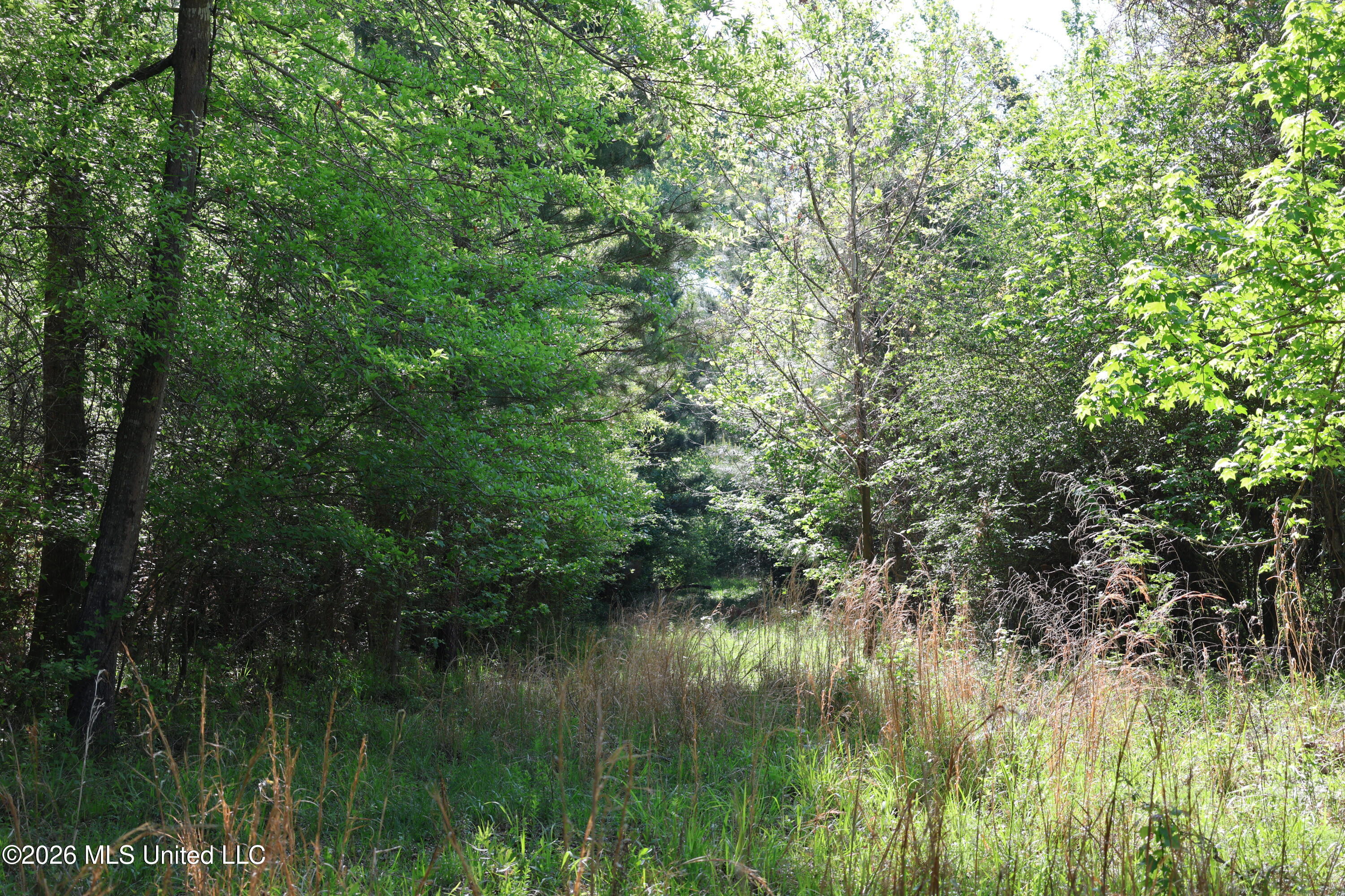 1060 Pearline Bailey Rd Port Port Gibson, MS 39150 - Photo 25 of 64 8D1C938C-4E2B-4A2A-A0F1-017B9D42C8EB