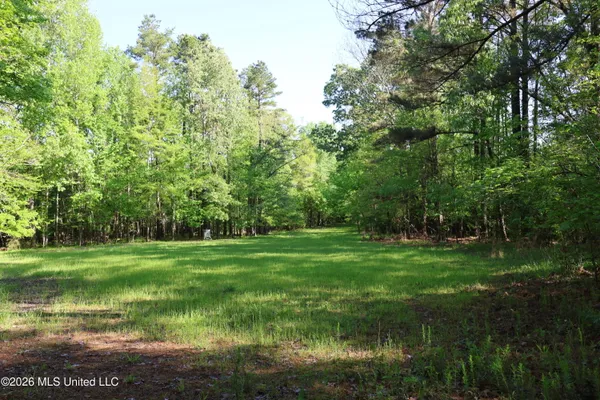 $1,300,000 | 1060 Pearline Bailey Rd Port, Port Gibson, MS 39150