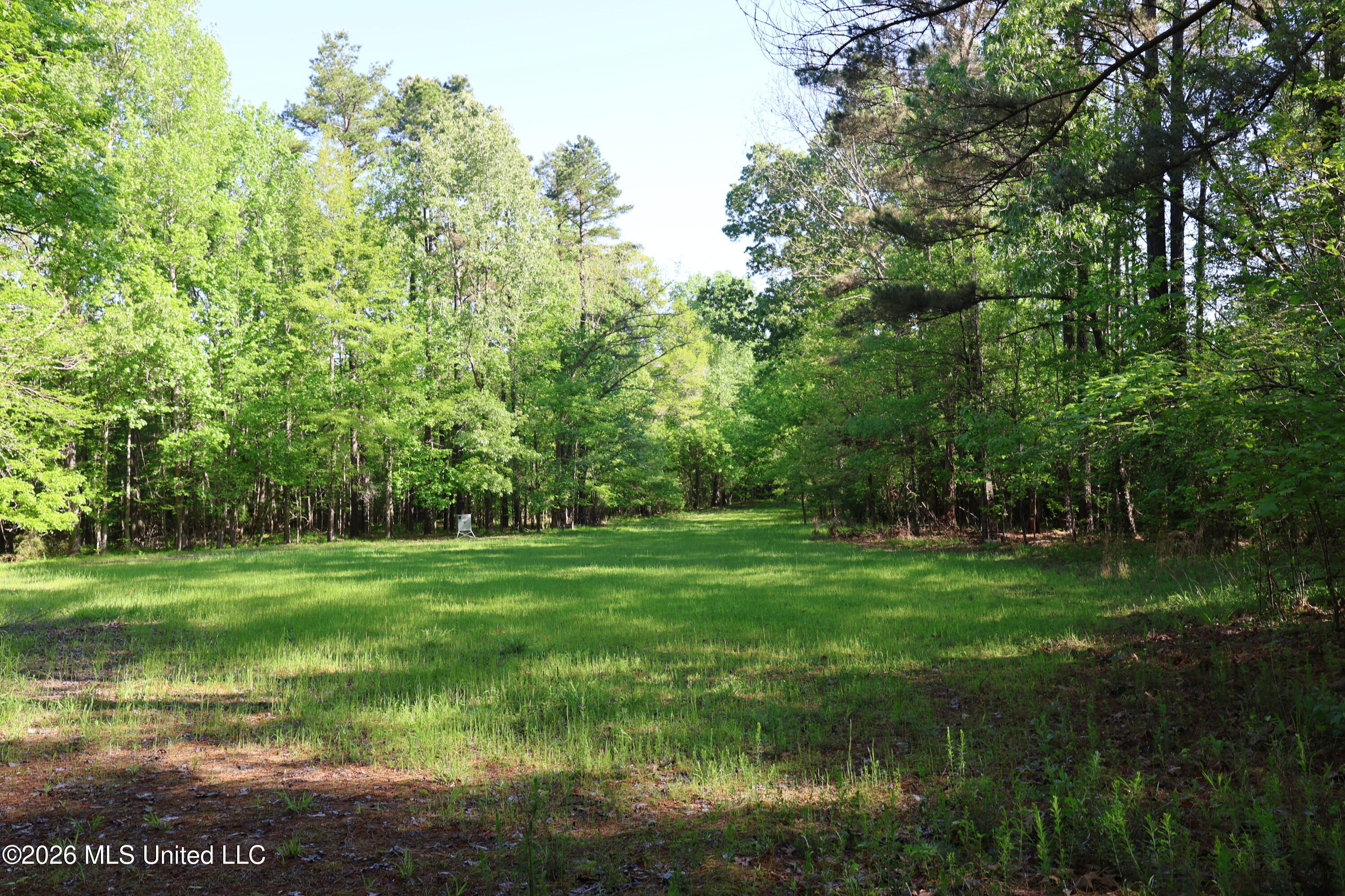 1060 Pearline Bailey Rd Port Port Gibson, MS 39150 - Photo 27 of 64 10A481E5-1B0D-459D-8982-85BB7DB15779
