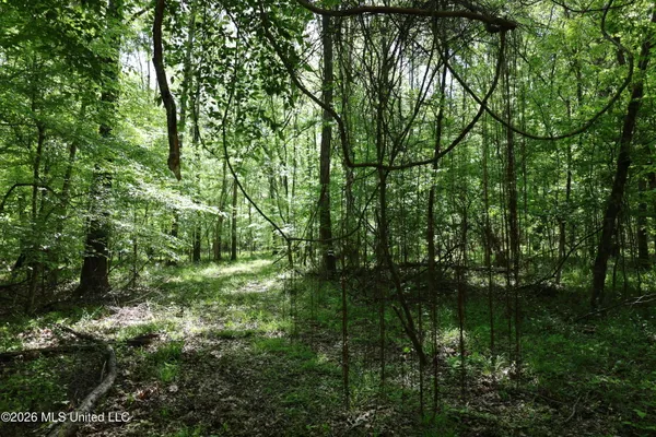 $1,300,000 | 1060 Pearline Bailey Rd Port, Port Gibson, MS 39150