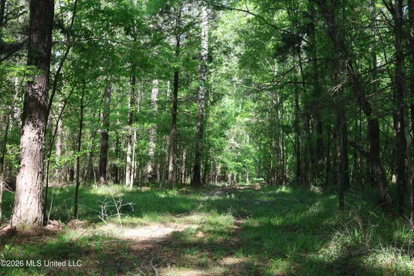 $1,300,000 | 1060 Pearline Bailey Rd Port, Port Gibson, MS 39150