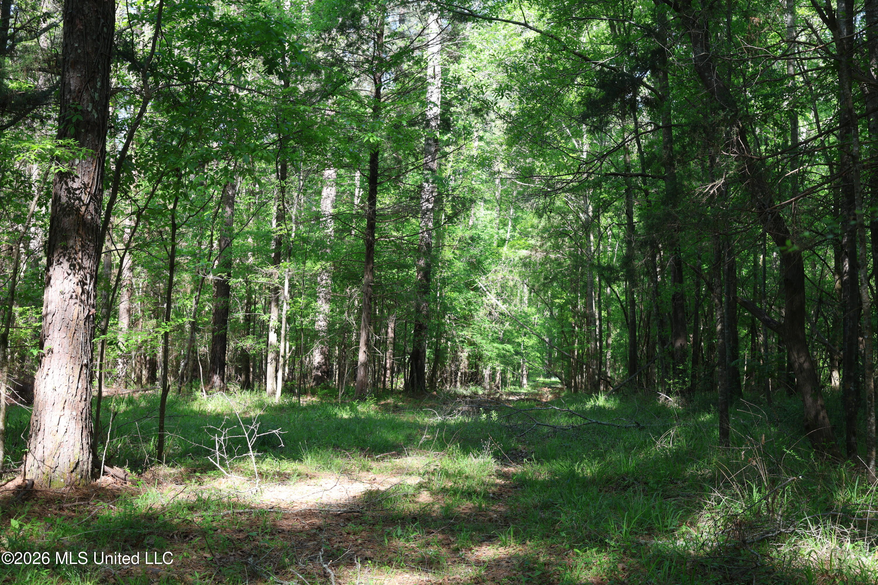 1060 Pearline Bailey Rd Port Port Gibson, MS 39150 - Photo 33 of 64 82BC025C-66A7-4DC5-9702-6132AA0A9F45