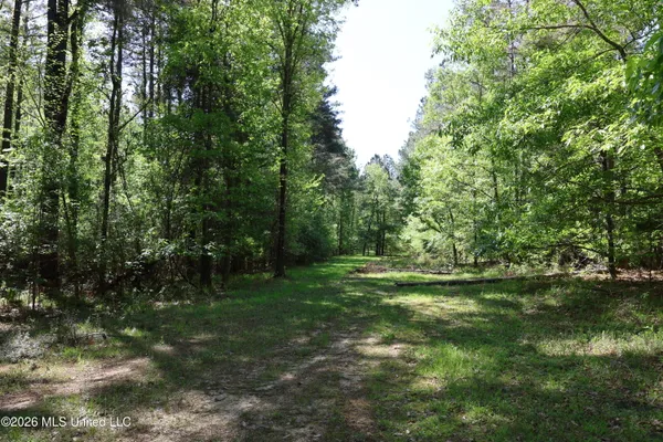$1,300,000 | 1060 Pearline Bailey Rd Port, Port Gibson, MS 39150